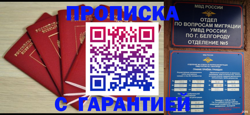 миграционный учет в Курчатове